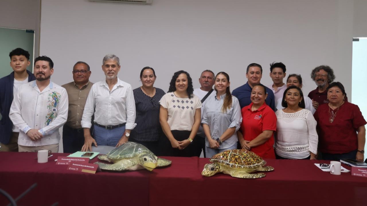 Inicia temporada de anidación de tortugas marinas 2026 en Yucatán con estrategia de protección en 279 km de costa